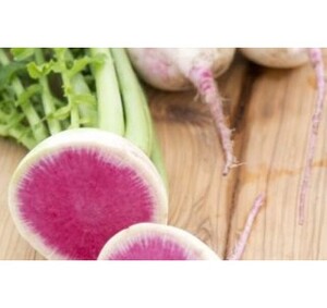 *РЕДЬКА РЕД МІТ Японська | RED MIT, TAKII SEEDS 1г 115-120шт