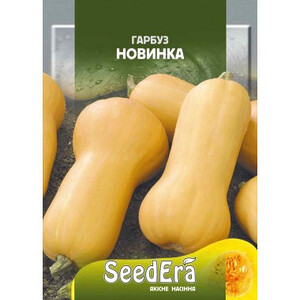 Гарбуз НОВИНКА SeedEra