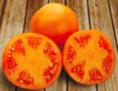 Томат Айсан KS 18 F1