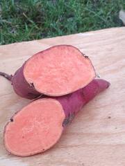 Батат "Баю Белл" (Лос Анжелес - LA)  2кг сітка.