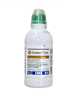 Протруйник Селест Топ , Syngenta