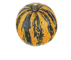 Гарбуз Турка Кущовий