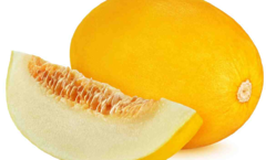 Диня Каррера F1 500шт