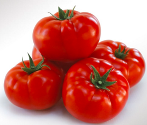 Томат Фінлі KS 1205 F1