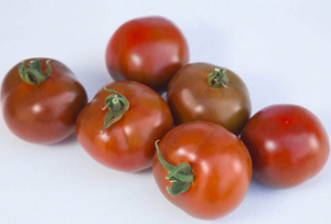 Томат KS 125 F1