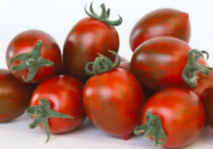 Томат KS 277 F1