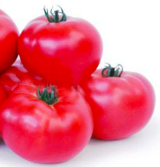 Томат KS 307 F1 100шт