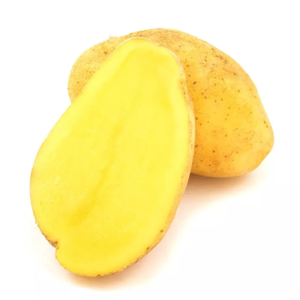 Картопля насіннєва  Раномі  (1 репродукція) 2,5 кг Сертифікована рання, фракція 35-50мм