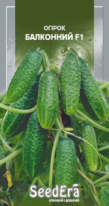 Огірок Балконний F1 10 шт  SeedEra