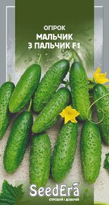 Огірок Мальчик З Пальчик F1 10 шт  SeedEra