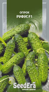 Огірок Руфус F1, Seedеra, 1г