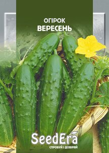 Огірок Вересень SeedEra