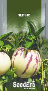 Пепіно, Seedera, 5 шт 