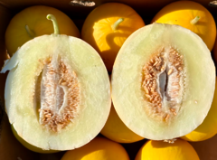 Диня Сан Канарія F1 1000шт