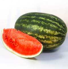 Шейні KS 163 F1