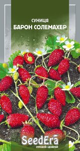 Суниця Барон Солемахер, Seedеra, 0,05г