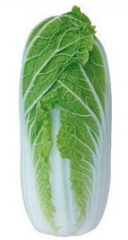 Пекінська капуста Тенсай F1