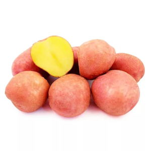 Картопля насіннєва  Беллароза (Bela Rosa) (1 репродукція) 2,5кг   Сертифікована рання, фракція 35-50мм