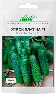 Огірка Платіна F1, Професійне Насіння  10 шт 