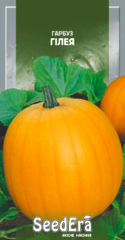 Гарбуз Гілея, Seedera
