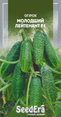 Огірок Молодший Лейтенант F1, Seedera, 10шт