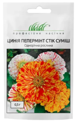 Цинія Пепермінт стік суміш 0,5г, Професійне насіння
