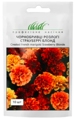 Чорнобривці розлогі Страуберрі Блонд 10шт, Професійне насіння