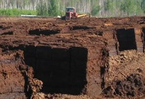 Торф Класман TS 3, фракція 0-5 мм посівний з добривами. Ідеально для овочів.