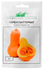 Гарбуз Баттернат 2г, Професійне насіння