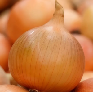 Цибуля ріпчаста Хайтьюн F1, 250000 нас, Bejo