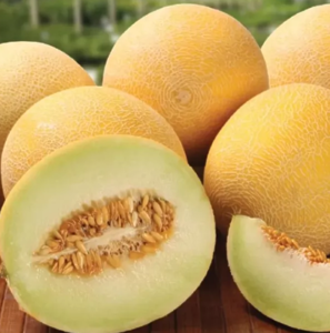 Диня Курелла F1/Curella F1, 1000шт