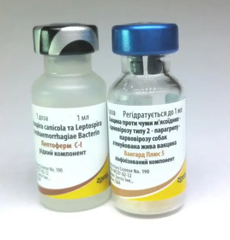 Вакцина Вангард Плюс 5/L (Vanguard Plus 5/L)