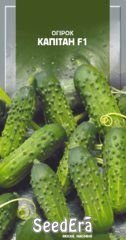 Огірок Капітан F1 10шт